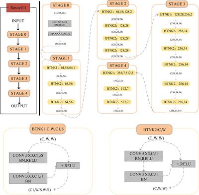 Evaluating the Microsatellite Instability of Colorectal Cancer Based on Multimodal Deep Learning Integrating Histopathological and Molecular Data
